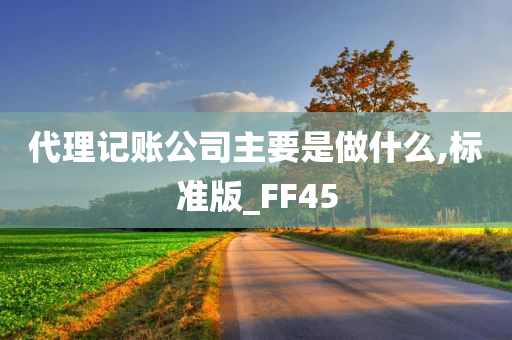 代理记账公司主要是做什么,标准版_FF45