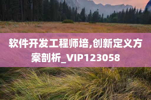 软件开发工程师培,创新定义方案剖析_VIP123058