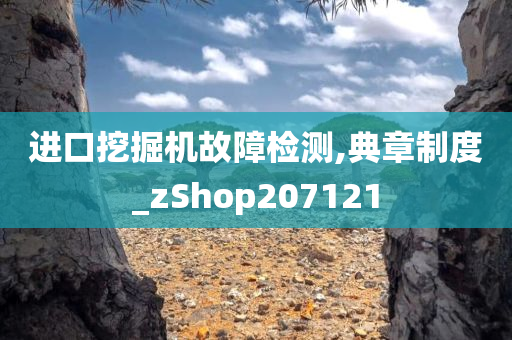 进口挖掘机故障检测,典章制度_zShop207121