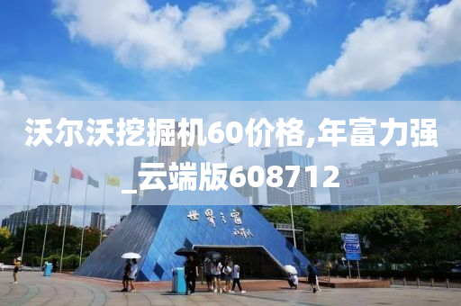 沃尔沃挖掘机60价格,年富力强_云端版608712