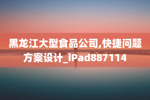 黑龙江大型食品公司,快捷问题方案设计_iPad887114