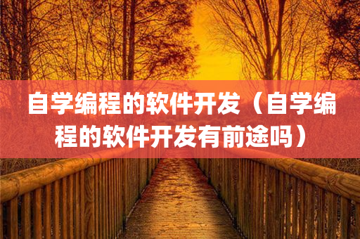 自学编程的软件开发（自学编程的软件开发有前途吗）