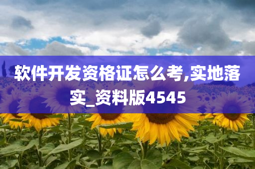 软件开发资格证怎么考,实地落实_资料版4545