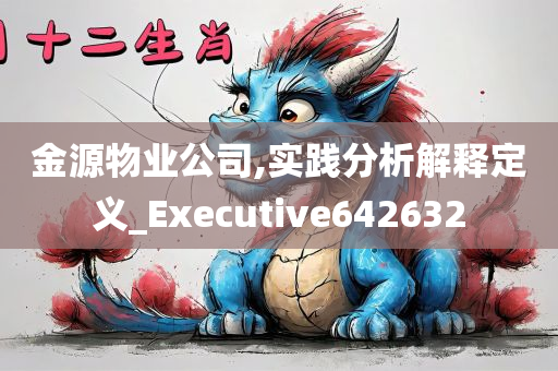 金源物业公司,实践分析解释定义_Executive642632