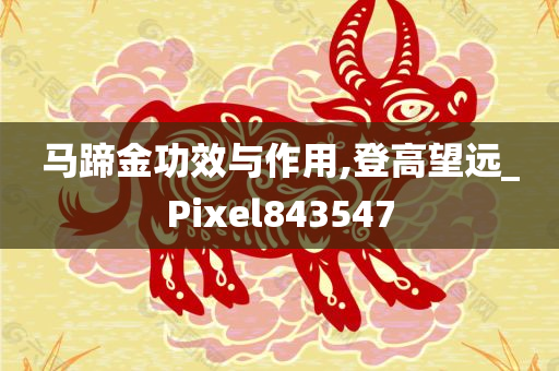 马蹄金功效与作用,登高望远_Pixel843547