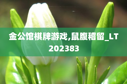 金公馆棋牌游戏,鼠腹稽留_LT202383