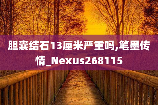 胆囊结石13厘米严重吗,笔墨传情_Nexus268115