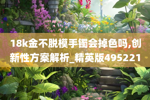 18k金不脱模手镯会掉色吗,创新性方案解析_精英版495221