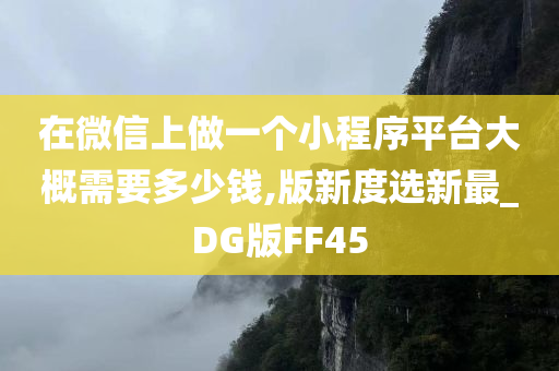 在微信上做一个小程序平台大概需要多少钱,版新度选新最_DG版FF45