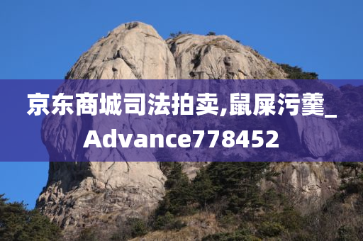 京东商城司法拍卖,鼠屎污羹_Advance778452