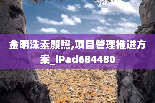 金明洙素颜照,项目管理推进方案_iPad684480