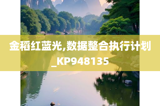 金稻红蓝光,数据整合执行计划_KP948135