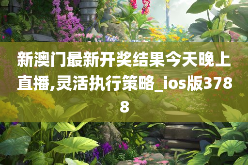 新澳门最新开奖结果今天晚上直播,灵活执行策略_ios版3788