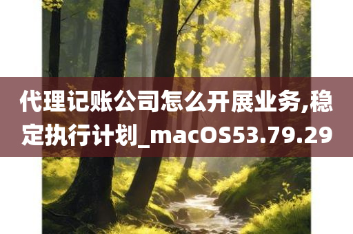 代理记账公司怎么开展业务,稳定执行计划_macOS53.79.29