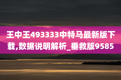 王中王493333中特马最新版下载,数据说明解析_垂救版9585