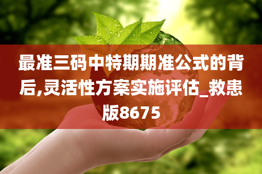 最准三码中特期期准公式的背后,灵活性方案实施评估_救患版8675