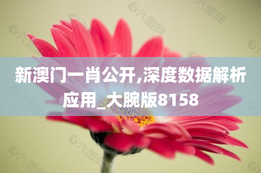 新澳门一肖公开,深度数据解析应用_大腕版8158