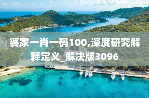 婆家一肖一码100,深度研究解释定义_解决版3096