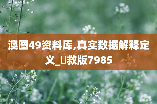 澳图49资料库,真实数据解释定义_劻救版7985