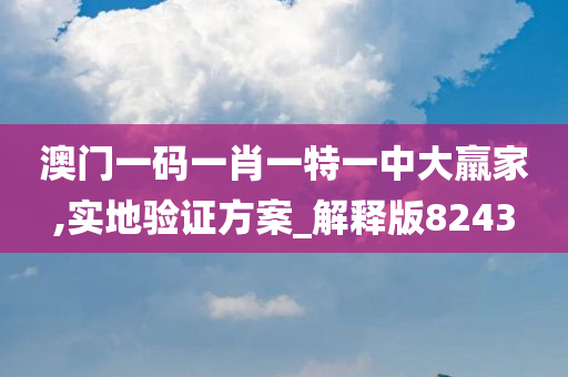 澳门一码一肖一特一中大羸家,实地验证方案_解释版8243