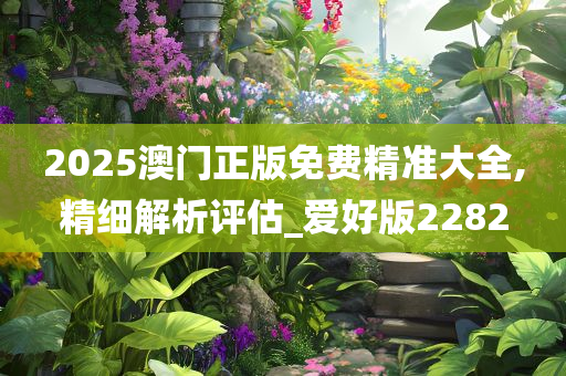 2025澳门正版免费精准大全,精细解析评估_爱好版2282