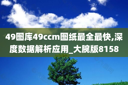 49图库49ccm图纸最全最快,深度数据解析应用_大腕版8158