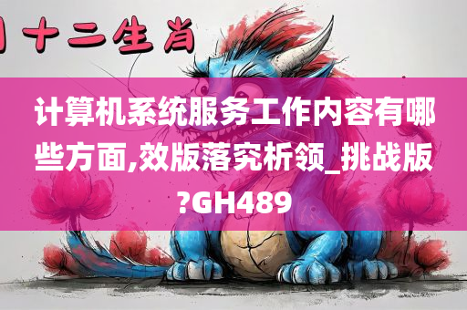 计算机系统服务工作内容有哪些方面,效版落究析领_挑战版?GH489