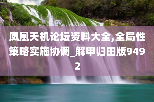 凤凰天机论坛资料大全,全局性策略实施协调_解甲归田版9492