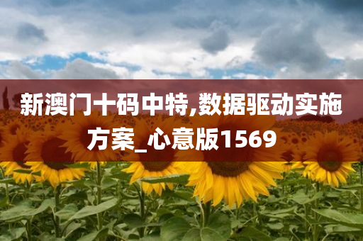 新澳门十码中特,数据驱动实施方案_心意版1569