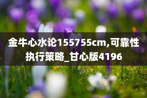 金牛心水论155755cm,可靠性执行策略_甘心版4196