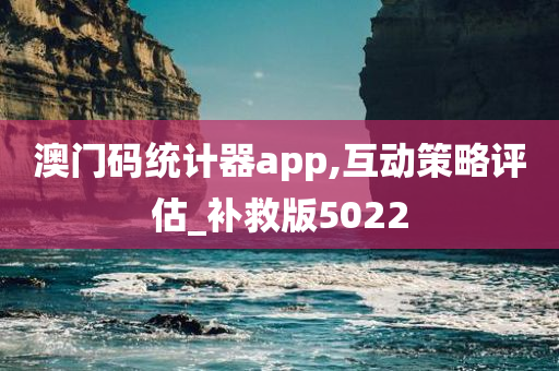 澳门码统计器app,互动策略评估_补救版5022