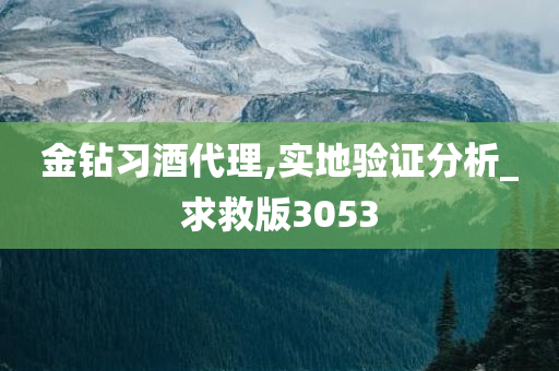 金钻习酒代理,实地验证分析_求救版3053