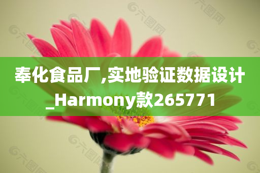 奉化食品厂,实地验证数据设计_Harmony款265771