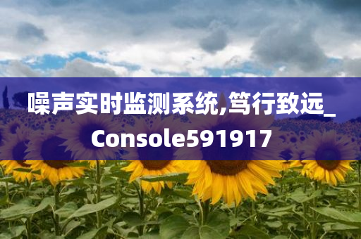 噪声实时监测系统,笃行致远_Console591917