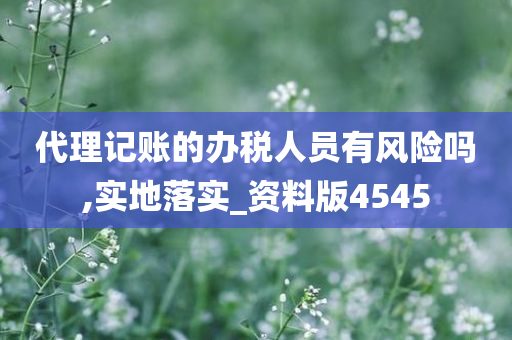 代理记账的办税人员有风险吗,实地落实_资料版4545