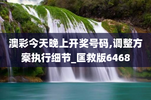 澳彩今天晚上开奖号码,调整方案执行细节_匡救版6468