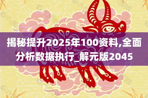 揭秘提升2025年100资料,全面分析数据执行_解元版2045