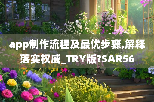 app制作流程及最优步骤,解释落实权威_TRY版?SAR56