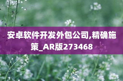 安卓软件开发外包公司,精确施策_AR版273468