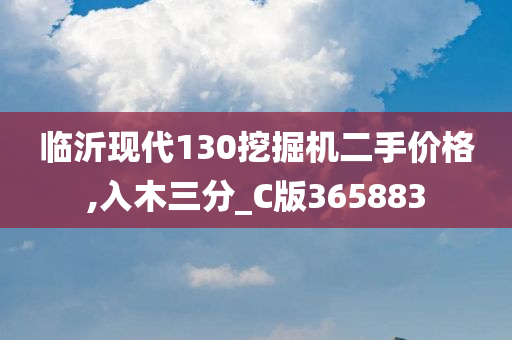 临沂现代130挖掘机二手价格,入木三分_C版365883