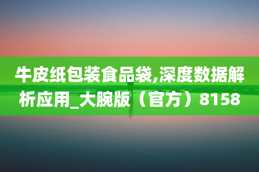 牛皮纸包装食品袋,深度数据解析应用_大腕版（官方）8158