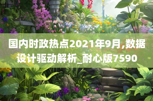 国内时政热点2021年9月,数据设计驱动解析_耐心版7590