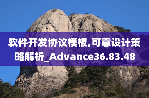 软件开发协议模板,可靠设计策略解析_Advance36.83.48