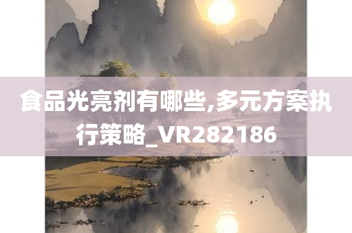 食品光亮剂有哪些,多元方案执行策略_VR282186