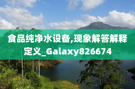 食品纯净水设备,现象解答解释定义_Galaxy826674