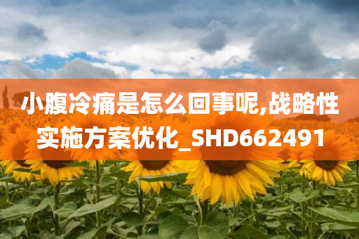 小腹冷痛是怎么回事呢,战略性实施方案优化_SHD662491