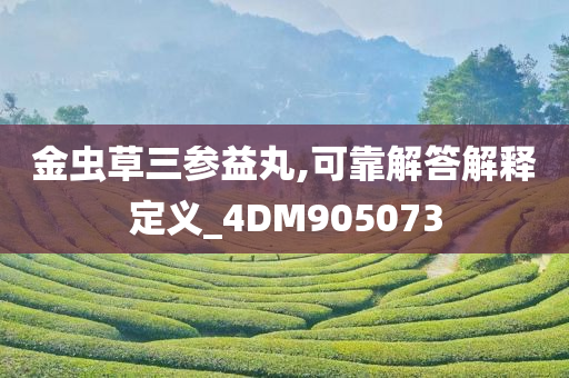 金虫草三参益丸,可靠解答解释定义_4DM905073