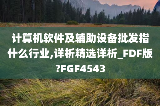 计算机软件及辅助设备批发指什么行业,详析精选详析_FDF版?FGF4543