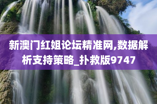 新澳门红姐论坛精准网,数据解析支持策略_扑救版9747