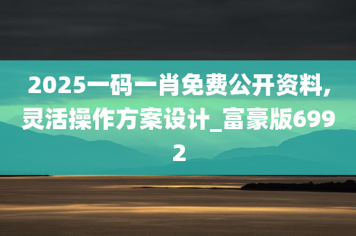 2025一码一肖免费公开资料,灵活操作方案设计_富豪版6992